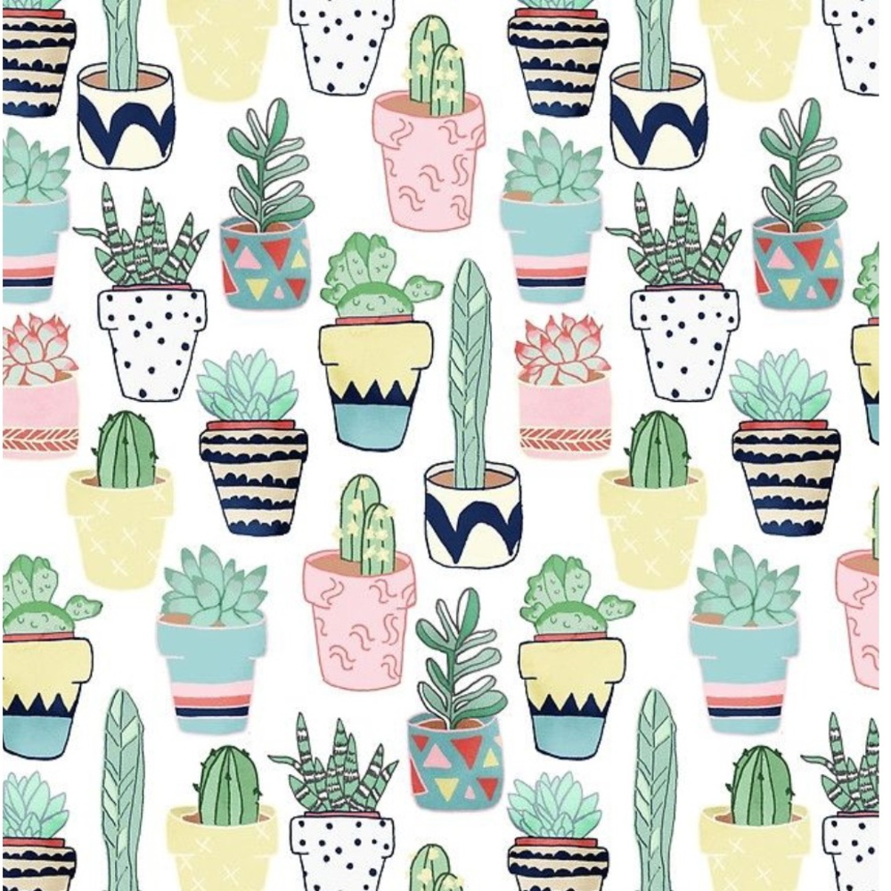 Meet your Posher, Kaylin